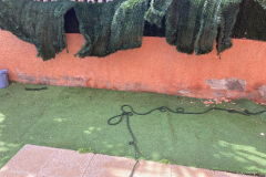 IMG-20210110-WA0058
