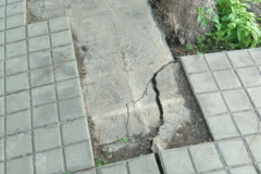 IMG-20210119-WA0025