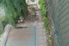 IMG-20210119-WA0026