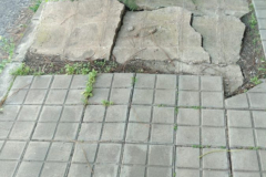 IMG-20210119-WA0028