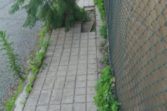 IMG-20210119-WA0029