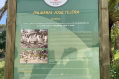 Cartel-Palmeral-Jose-Tejera