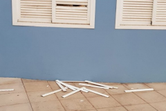 Vandalismo-en-las-zonas-verdes-de-Telde-8