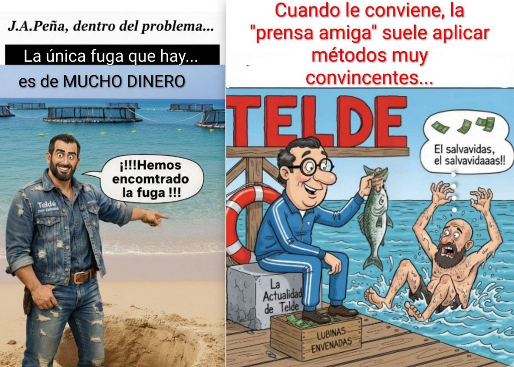 MANUAL PRÁCTICO PARA NEGAR LO EVIDENTE (EDICIÓN TELDE)