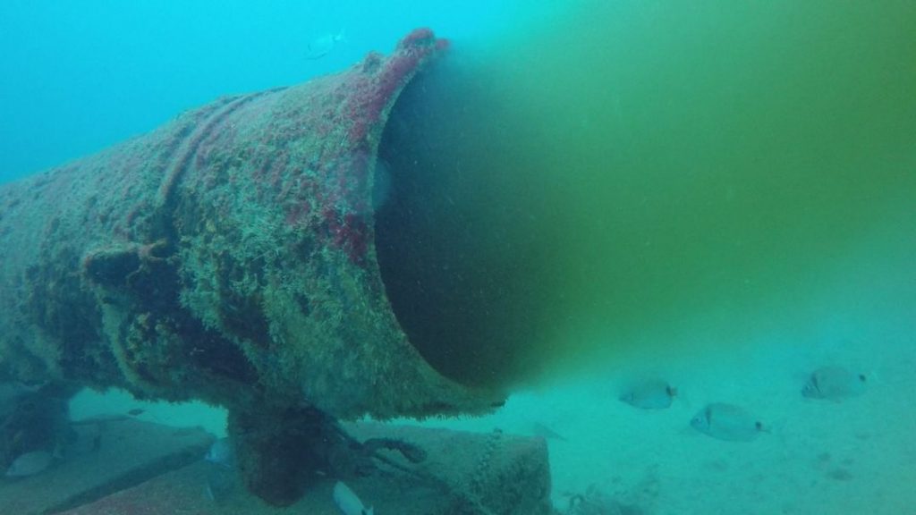 NC TELDE REITERA SU PETICIÓN DE ESCLARECER EL ORIGEN DE LA CONTAMINACIÓN DE LA COSTA Y GARANTIZAR QUE NO VUELVA A REPETIRSE