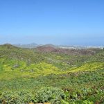TURCÓN INSISTE EN LA NECESIDAD DE DECLARACIÓN DEL CAMPO DE VOLCANES DE ROSIANA COMO PAISAJE PROTEGIDO Y DEMANDA INTERVENCIONES EN LAS AMENAZAS AL LUGAR