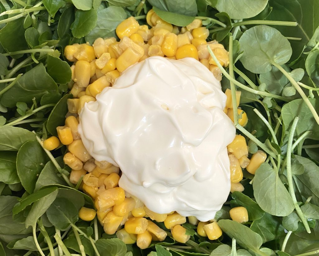 «LOS TOGADOS Y LAS ENSALADAS»